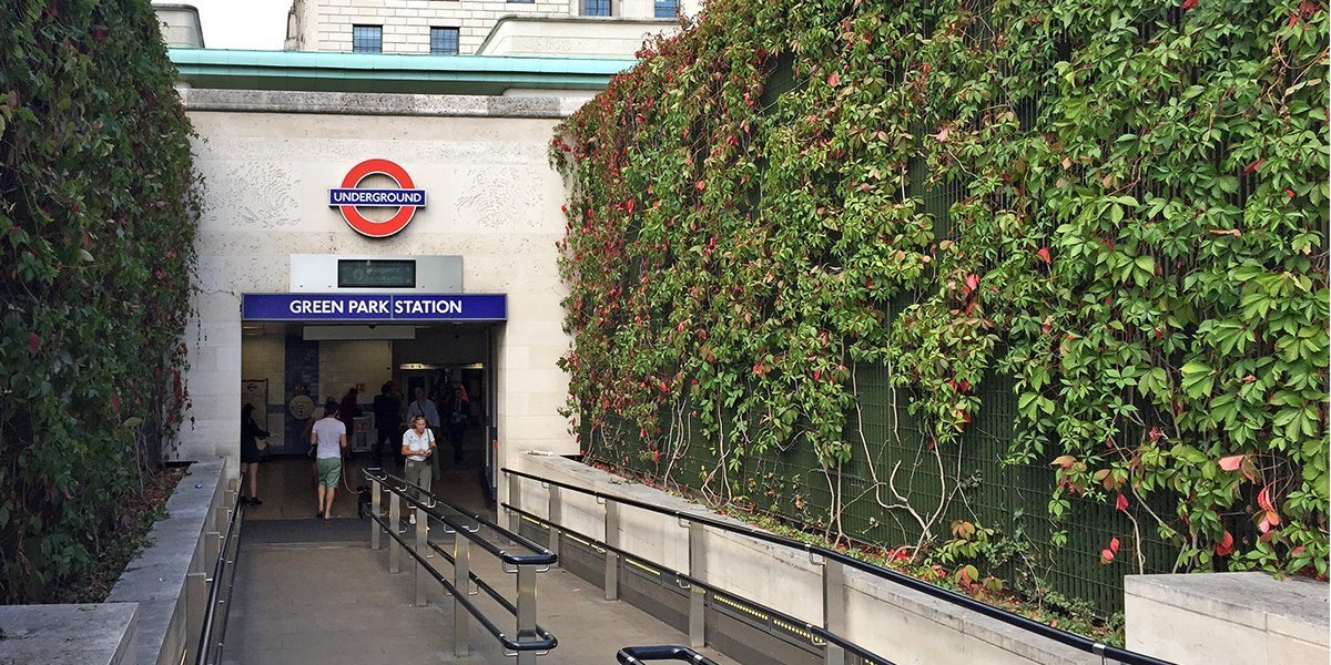 Terra 34 green wall plant trellis grating green park station news