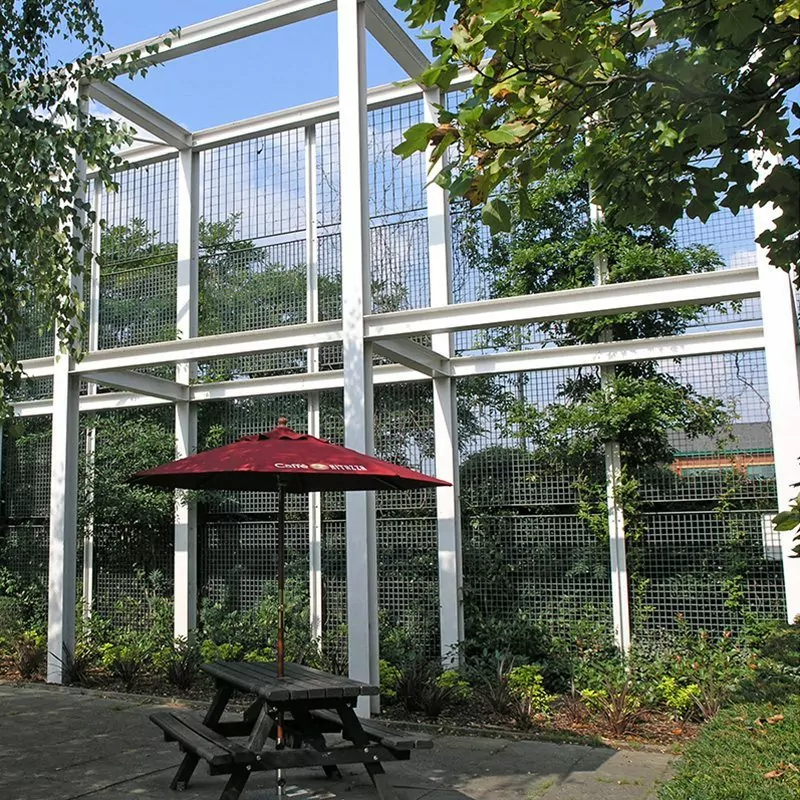 Piazza-132 7 green wall plant trellis
