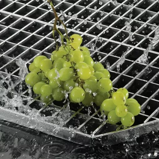 inox uva