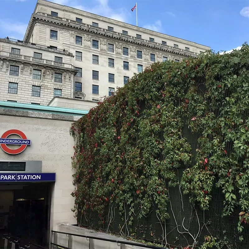 Terra-34 28 Terra 34 green wall plant trellis grating green park station5