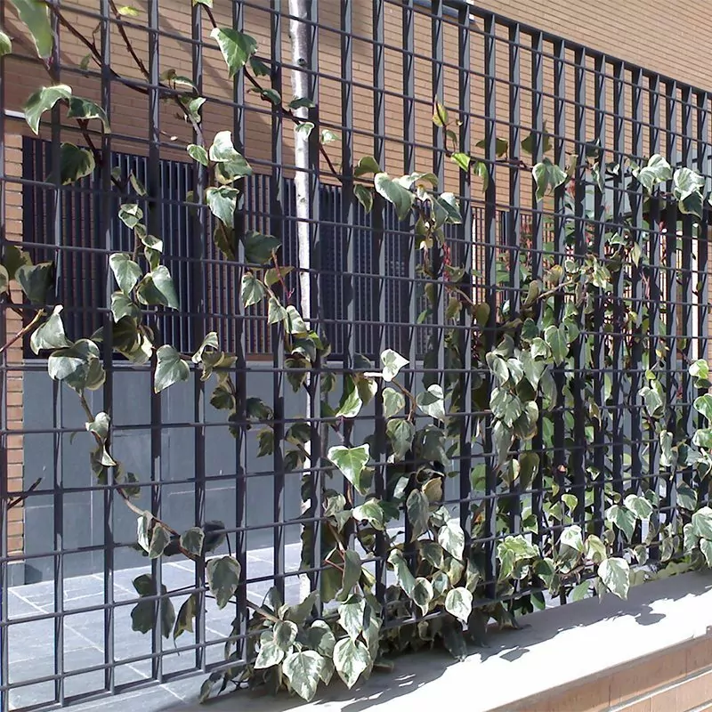 Verona black plant trellis